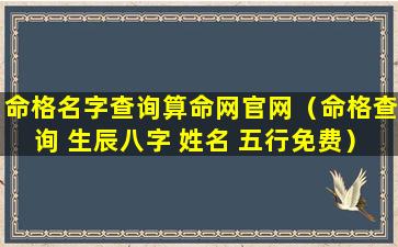 命格名字查询算命网官网（命格查询 生辰八字 姓名 五行免费）